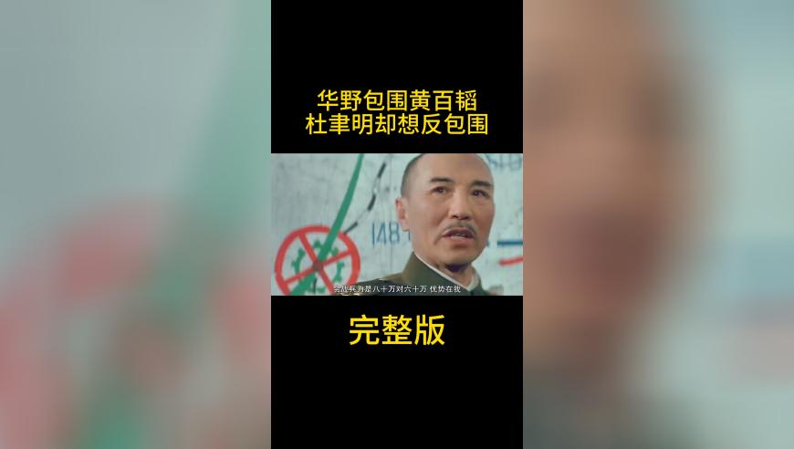 当CEO们决心做网红,管家婆期期准免费资料,展开解析落实_高级版V15.31